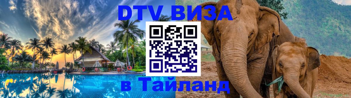 Оформление DTV визы под ключ: стоимость и тарифы, только загранпаспорт - Владимир 